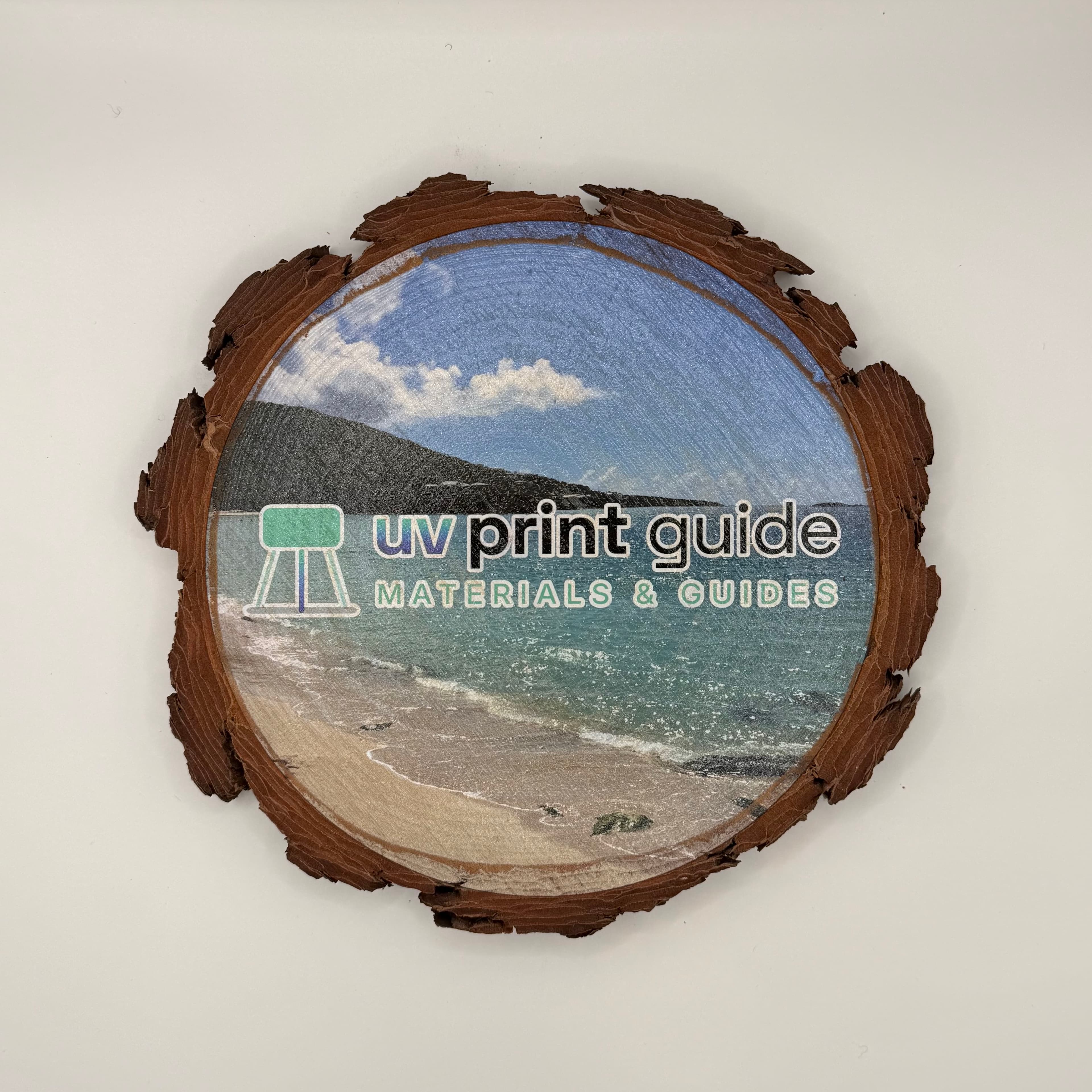 Unfinished Natural Wood Slices Large (10-Pack, Round)